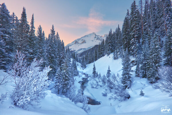 Frozen Dreams